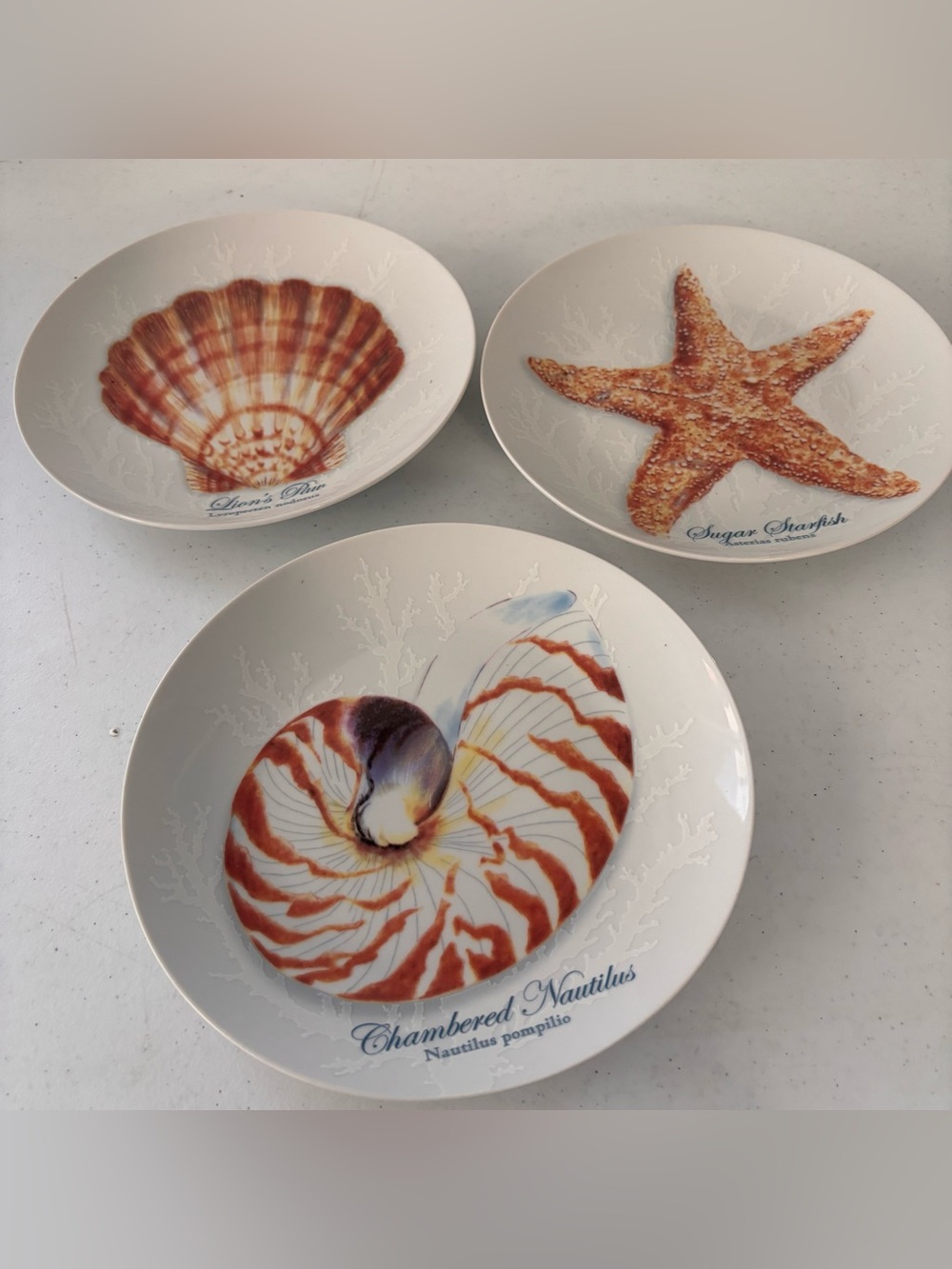 Captiva Florida Marketplace Nautical Sea Life Ceramic Dinner Plates Set Of 3